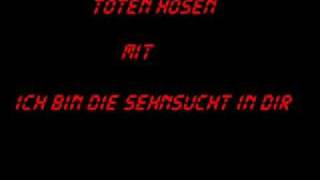 Toten Hosen - Ich bin die Sehnsucht in dir