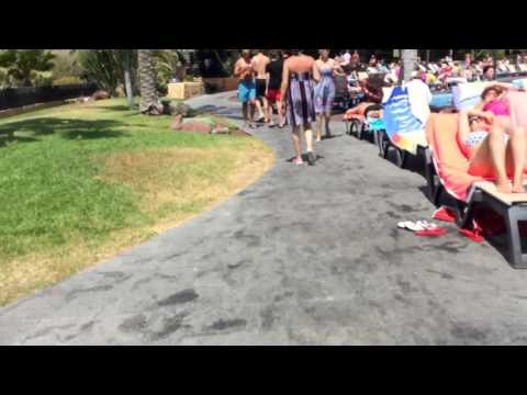 Do not walk on the grass