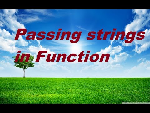 5 Passing String In A Python Function