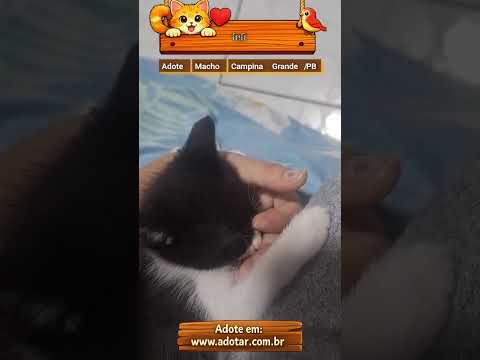Vídeo de fufi