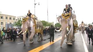 ช้างมงคลงางามถวายบังคมพระบรมศพ | 09-11-59 | น้อมถวายบังคม | ThairathTV