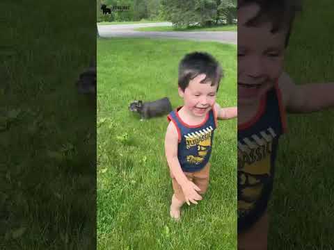 Video 4