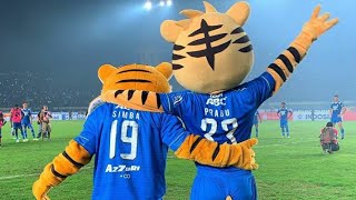 Download lagu STORY WA PERSIB MAUNG BANDUNG (BOBOTOH PERSIB) PRABU & SIMBA mp3