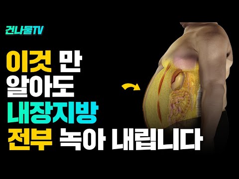 [유튜브] 가득 쌓인 내장지방 제거 방법 이렇게 해야 뱃살도 빠집니다