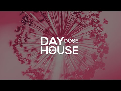 BETASTIC - For The Better (feat. How to Loot Brazil)