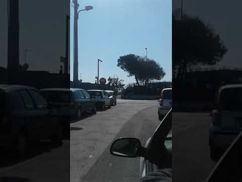 TSAV HAUV KUV LUB NROOG