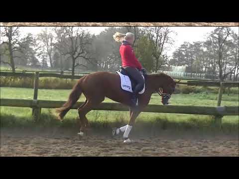 Scuderia His Highness