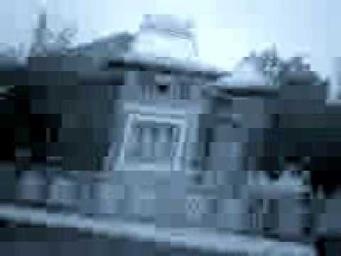 nebuni de pe geamana