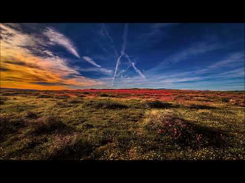 Victor Lou, MC Theuzyn - SOCA SOCA DO SUBMUNDO (SHARK VERSION) (Extended)