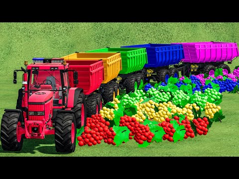 LOAD COLORS & TRANSPORT GRAPES WITH JOHN DEERE TRACTORS! Farming Simulator 22