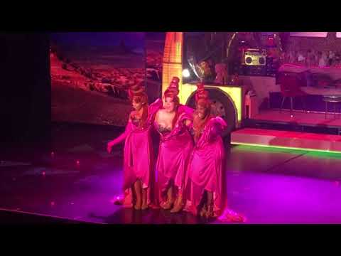 Priscilla Folle du désert Final de La Première au Casino de Paris