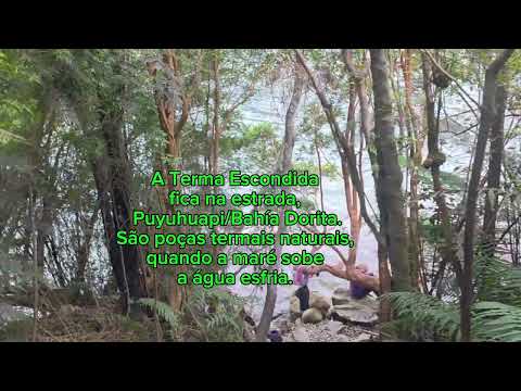 Coyhaique rumo a Puyuhuapi, Região de Aysén,  Chile.