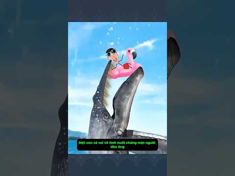 Sẽ thế nào nếu bạn bị 1 Con Cá Voi nuốt chửng?