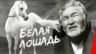 Белая лошадь (1966)
