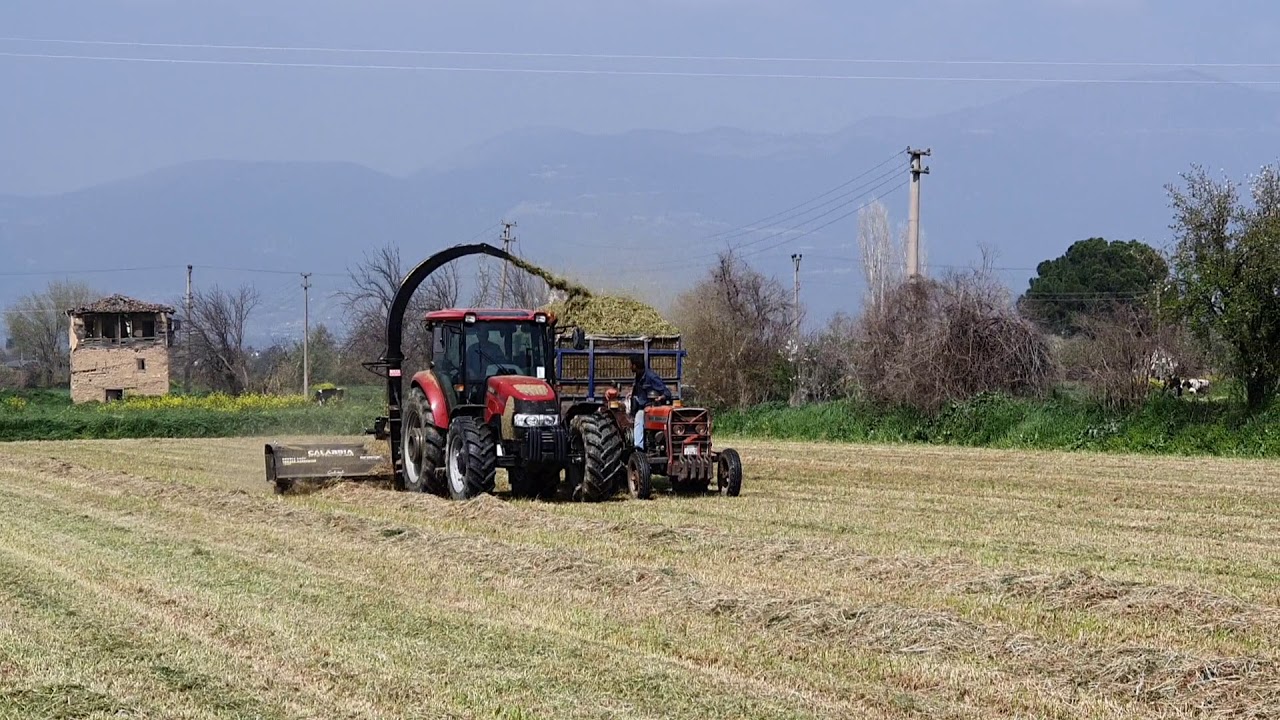 Készletről új Celikel Calabria 2,1 m silózó, rendfelszedő funkcióval, akár 28 tonna/óra kapacitás