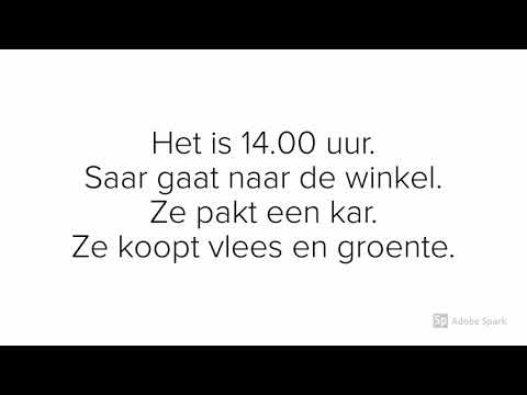 Alfa NT2 - Boekje erbij deel 2 les 17 De dag van Saar