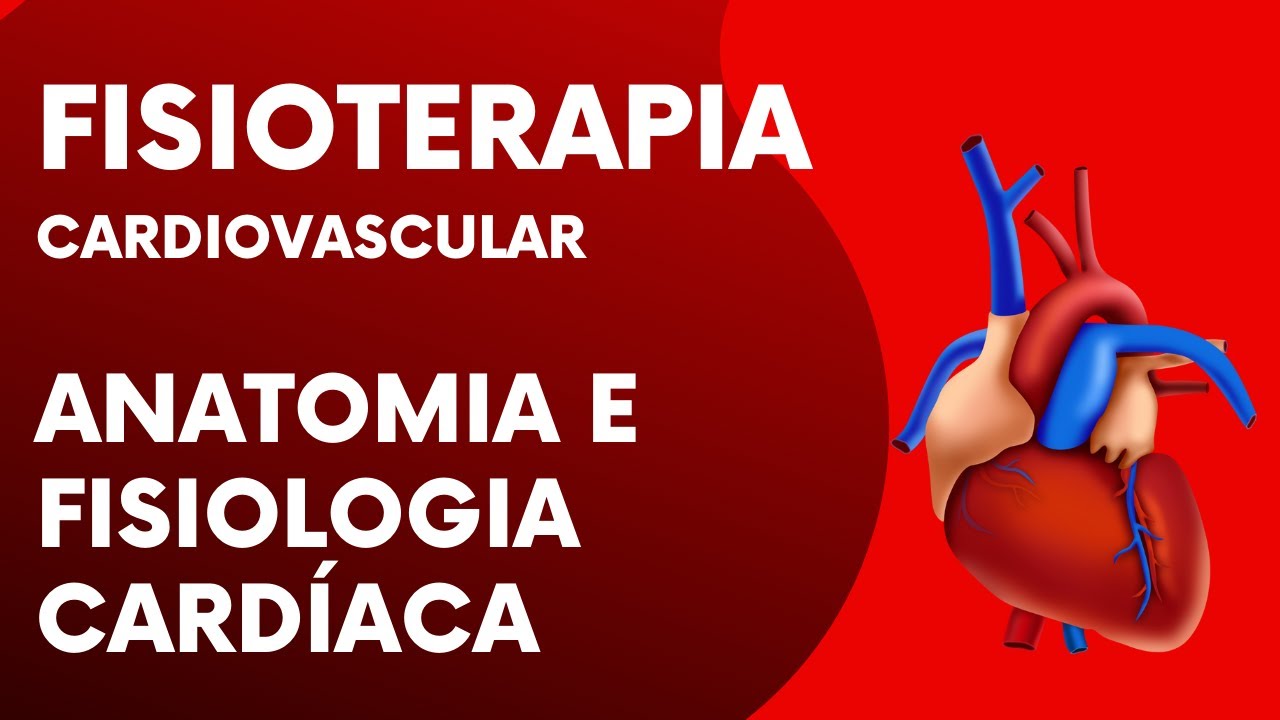 Fisioterapia Cardiovascular | Anatomia e Fisiologia Cardíaca para Concursos