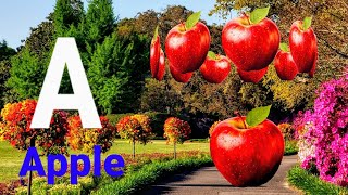 Alphabet | English Alphabet | Capital Letters | Learn ABC | A to Z alphabet | Alphabet for kids