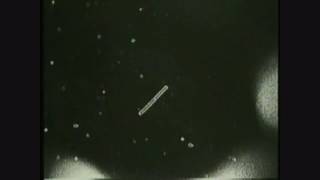 Tones on Tail - Performance