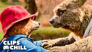 Download lagu Paddington Reunites with Aunt Lucy in El Dorado | Paddington in Peru mp3 Download lagu Paddington Reunites with Aunt Lucy in El Dorado | Paddington in Peru mp3