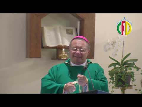 Kerygmat trzeba ogłaszać kerygmatycznie, a Ewangelię ewangelicznie