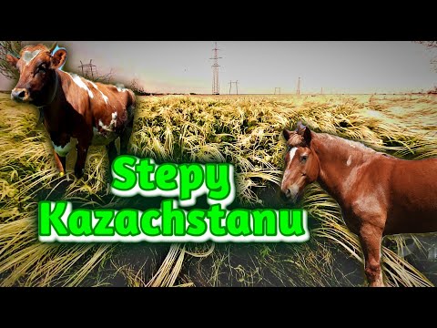 Stepy w Kazachstanie