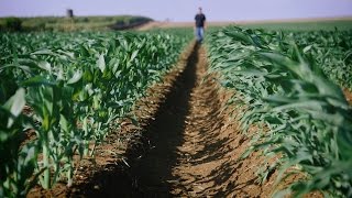 Instructional Video on Soil Moisture Monitoring by Feel & Appearance | סרט הדרכה למוצר חקלאי