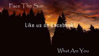 What Are You - Face The Sun
