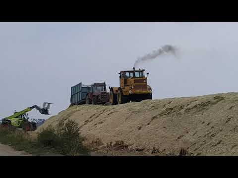 Akcja kukurydza 2018 w Brzysko-Rol - Wciąganie na pryzmę