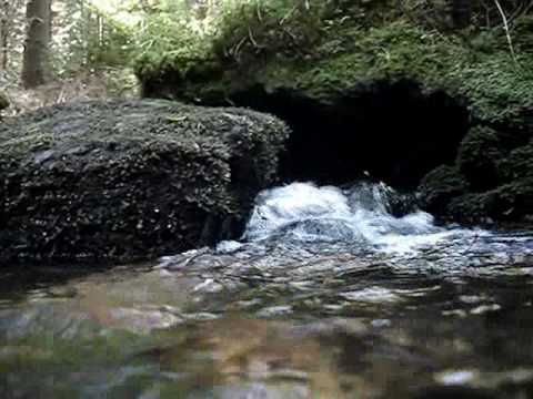 Hana a Petr Ulrychovi - Modlitba