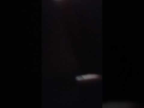 Fica teguinha fica MEC tref