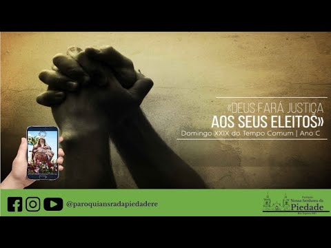 29° Domingo do tempo Comum