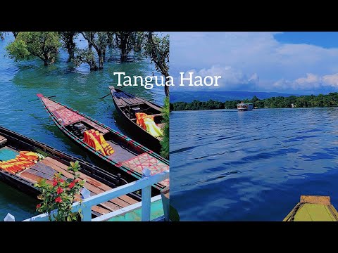 Now we are all in Tanguar Haor.Samiha nur...🍃