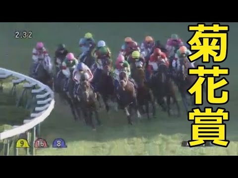 【第76回菊花賞】勝ったのは？そして買ったのか？ 2015.10.25