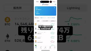 SHIBのくじら(大口投資家)になりたい#14