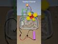 Science Project For Class 7th Students Working Model Easy Science Exhibition Projects Class