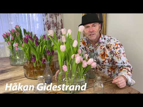 arrangera tulpaner 2