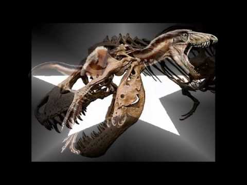 10 Minutes of Therapy Mix