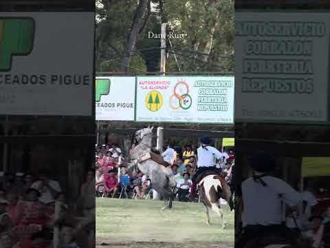 Rafa Pratula por la laguna las encadenada #RafaPratula #Campeon2026 #tradicion #jineteada
