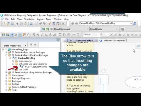 Rational Rhapsody Tip #44 - RMM 6.0.6 accept/deliver workflow and icons (Intermediate)