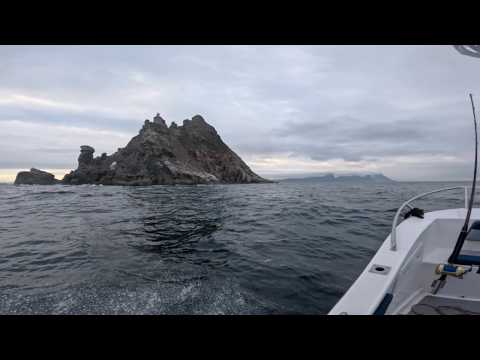 Yellowfin Tuna Fishing - Off Cape Point, South Africa
