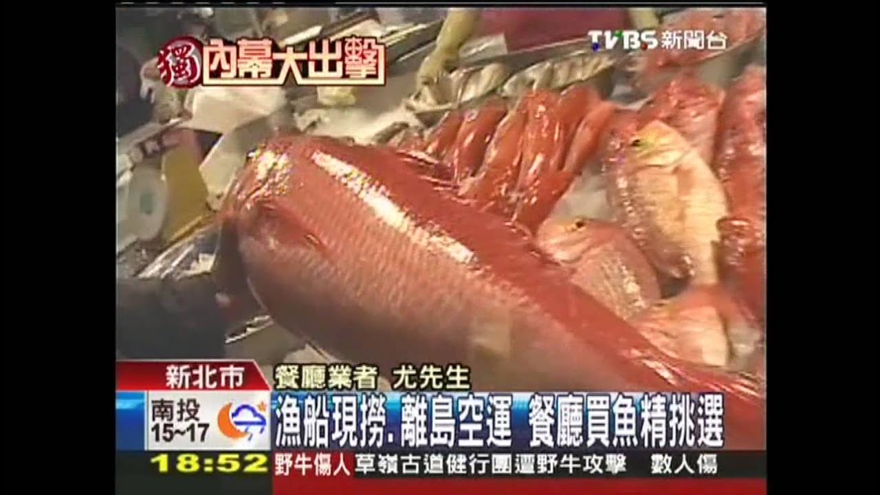 〈獨家〉漁船現撈、離島空運　餐廳買魚精挑選