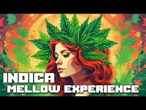 INDICA Mellow Cannabis Experience Music Playlist | Weed Dope Smoke Relax