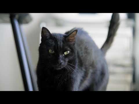 萬華 - 鄭宅