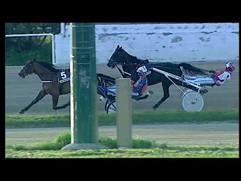 Napoli Trotto 21/03/2021 - 7ª corsa