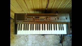 Video thumbnail for Casiotone 501 by Vintage Sounds
