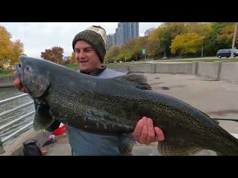 Salmon Fishing In the CITY of Milwaukee