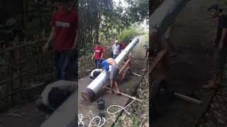 Download lagu segera tayang meriam karbit pohon aren #shorts mp3