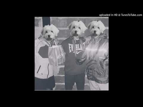 fasciolo x catrxel x bazan - no te escucho freestyle