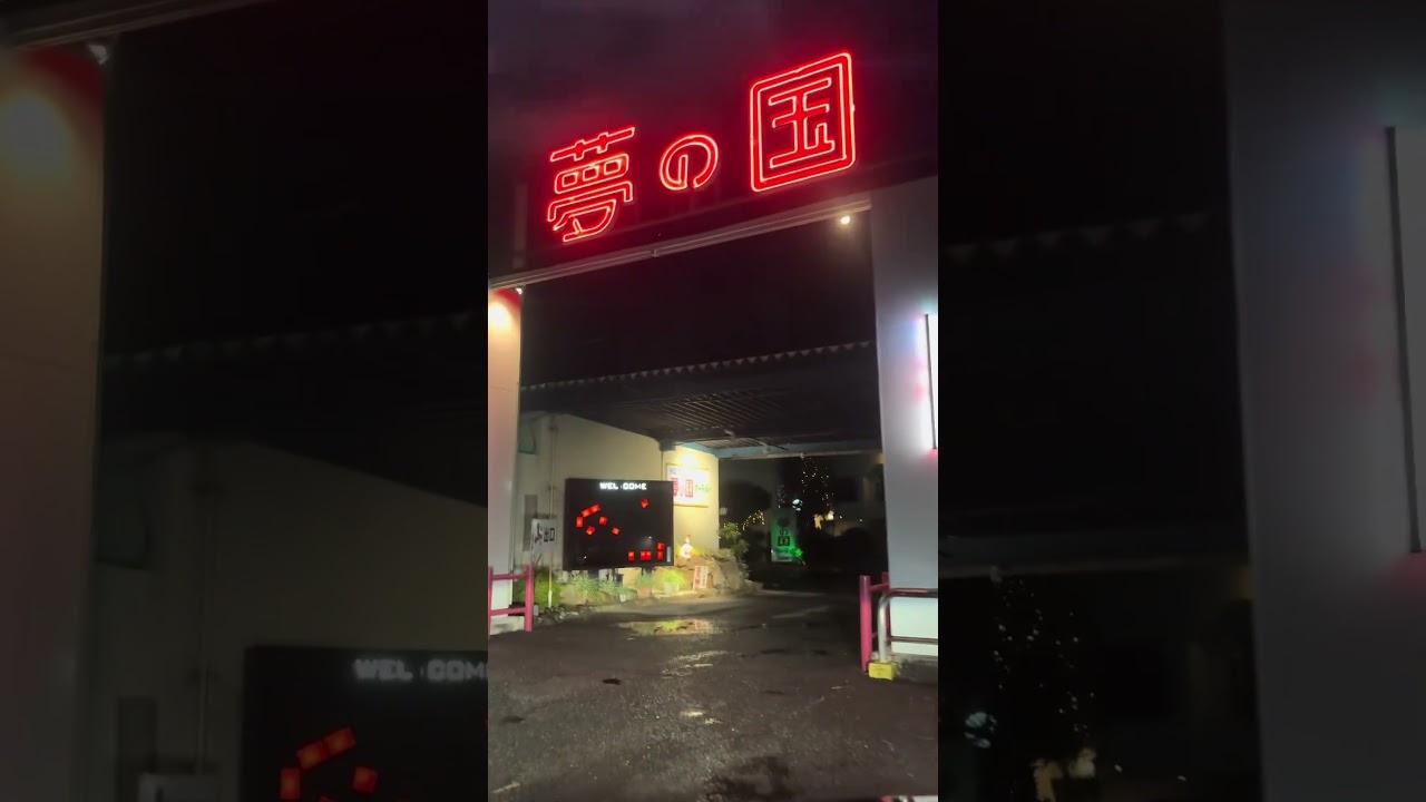 二人で初めて夢の国にいった日